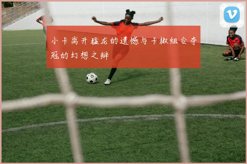 小卡离开猛龙的遗憾与卡椒组合夺冠的幻想之辩