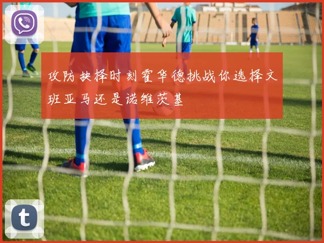 攻防抉择时刻霍华德挑战你选择文班亚马还是诺维茨基